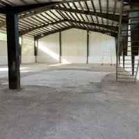 رهن اجاره|اجارهٔ دفتر صنعتی، کشاورزی، تجاری|رشت, لاکان|دیوار