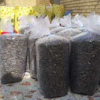 پخش تخمه آفتاب گردان خارجی طاها وطبیعت
