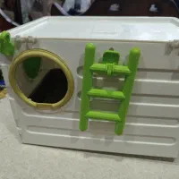 لانه لونه پرنده عروس هلندی مرغ عشق گرینچیک راهب