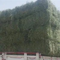 یک تن بیده(یونجه خشک شده) پارساله بسیار مرغوب