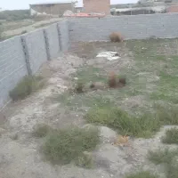 فروش زمین مخصوص دامداری|فروش زمین و ملک کلنگی|سیجوال, |دیوار