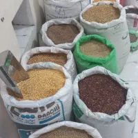 انواع نوع پرنده و دانه و دارو وغیره به نرخ عمده|پرنده|اندیمشک, |دیوار