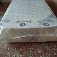 تشک پلیتکس