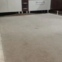 پالازموکت جنس کرم رنگ