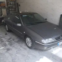 زانتیا ۲۰۰عروسک