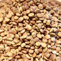 سماق قهوه ای