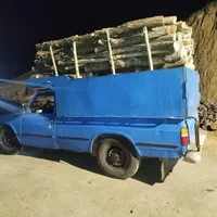 خرید چوب خرید درخت