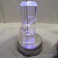 چراغ خواب و..