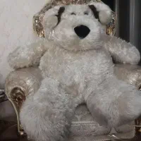 عروسک پولیشی|اسباببازی بچه|ری, دیلمان|دیوار