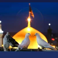 سفر به مشهد مقدس
