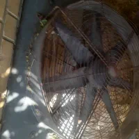 فر و یک عداد ویترین و فن|اجاق گاز و لوازم برقی پخت‌وپز|اهواز, زردشت|دیوار