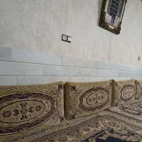 دوجفت پشتی درحدنو