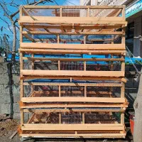 قفس بلدرچین ۱۰درصد تخفیف گذاشته شد