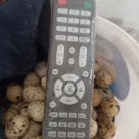 کنترل فروشی