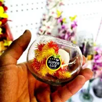 ماهی گلدفیش|ماهی|شاهرود, |دیوار