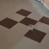 منزل مسکونی|اجارهٔ خانه و ویلا|داراب, |دیوار