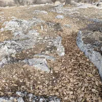 زمین-طرح-ولایت