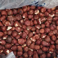 فندق ترکیه