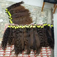 خریدار اصلی مو