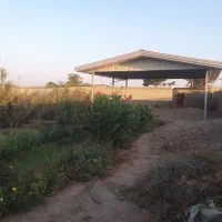 باغ انار
