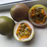 نهال پشن فروت ارغوانی