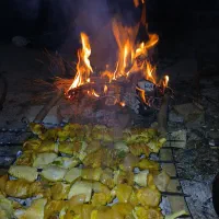 تور گردشگری