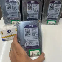 هارد وسترن دیجیتال بنفش مخصوص دوربین مداربسته