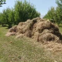 فروش گزره و کاه