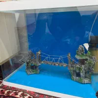 ماهی فایتر. میگو .اکواریوم شرکتی.شیشه خم