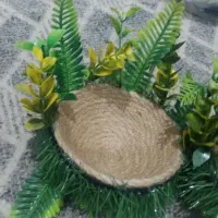 لانه سهره قناری فنچ|لوازم جانبی حیوانات|تهران, باغ فردوس|دیوار