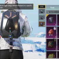 ااکانت|اشیا|میناب, |دیوار