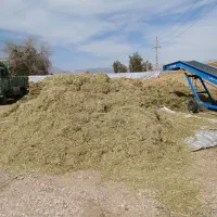 فروش یونجه هرده ارسال به سراسر کشور