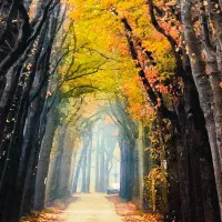 ۲ عدد فرش ۶ متری (سه بعدی)