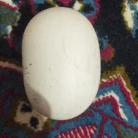 سنگ آسیاب الماس