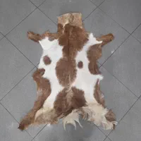 فرش پوست بز پادری|صنایع دستی و سایر لوازم تزئینی|ری, دولتآباد|دیوار