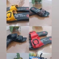 کفش و صندل زنانه و مردانه و بچگانه|کیف، کفش، کمربند|ایوان, |دیوار