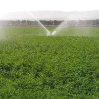 اجاره-زمین-کشاورزی