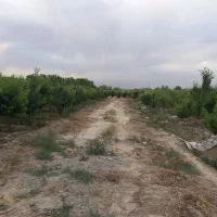 فروش باغچه ۱۰۰۰متری