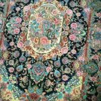 سالاری زرع نیم