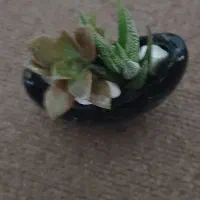 تعدادی لوازم شخصی