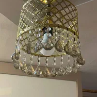 دوعدد لوستر