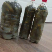 خیار شور ورب خانگی باطعم بی نظیر
