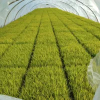 فروش-زمین-کشاورزی