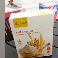 پودر جوانه گندم