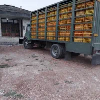 بنز ۹۱۱|خودرو سنگین|کردکوی, |دیوار