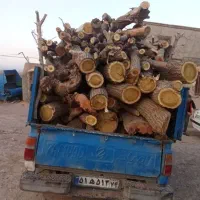 قطع وخریددرخت داخل خونه باغ ویلا۲۴ساعته درمشهدفروش