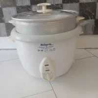 بخار پز پلوپز