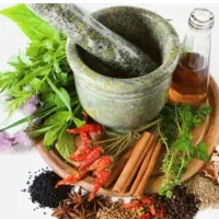 مشاوره وراهنمایی در زمینه طب سنتی و سبک زندگی سالم