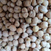 حبوبات خوش پخت و خوشمزه کالپوش