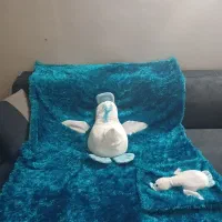 روتختی وروپشتی تمیز